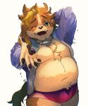  2022 anthro belly bulge canid canine canis clothing domestic_dog hi_res hisaki_(live-a-hero) humanoid_hands kemono lifewonders live-a-hero male mammal mid_skb moobs navel nipples one_eye_closed overweight overweight_male simple_background solo swimwear video_games wet wet_clothing 