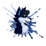  1:1 anthro black_body black_fur black_nose blue_body blue_fur blue_inner_ear_fluff blue_tongue canid canine canis chris_husky domestic_dog fur husky inner_ear_fluff male mammal nordic_sled_dog overix simple_background solo spitz teeth tongue tuft white_body white_fur 