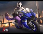  2020 anthro artist_name black_clothing black_jacket black_spots black_topwear bottomless clothed clothing dated ethan_snow fur jacket lamp leg_tuft letterbox male markings motorcycle obscured_eyes obscured_face outside owo purple_body purple_fur purple_tail riding_motorcycle road sign solo spots spotted_body spotted_fur spotted_legs spotted_markings spotted_tail tail_markings topwear tuft vehicle vinyanko visor white_clothing white_helmet white_jacket white_topwear 