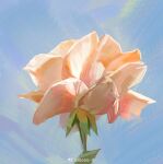  absurdres ale55 flower highres no_humans original painterly pink_flower scenery sky sunlight 