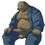  2022 anthro balls belly big_belly donguri erection genitals hi_res humanoid_genitalia humanoid_hands humanoid_penis kemono male mammal moobs overweight overweight_male penis simple_background sitting solo tongue tongue_out ursid 