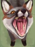 absurd_res bodily_fluids canid canine eye_contact fangs feline_hungry feral fox front_view grey_fox hi_res high-angle_view imminent_vore looking_at_another male mammal mjok mouth_shot open_mouth oral_vore prey_pov realistic_feral saliva saliva_on_tongue saliva_string solo teeth tongue urocyon vore whiskers