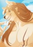 akita akita_inu anthro beard canid canine canis domestic_dog facial_hair hair hi_res kamuisamurai long_hair male mammal muscular muscular_anthro muscular_male orange_hair original_character portrait samurai scar sfw solo spitz warrior yankisan