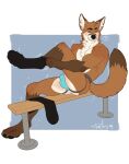  abs anthro bench brown_body brown_fur bulge canid canine clothing footwear fox fur hi_res jnkyrd jockstrap looking_over male mammal muscular orange_body orange_fur putting_on_socks scott_(scottthefox94) socks solo underwear white_body white_fur 