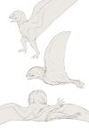 4_eyes 4_toes absurd_res ambiguous_gender biped butt claws digital_media_(artwork) dragon european_mythology feet feral flying hi_res looking_at_self lying membrane_(anatomy) membranous_wings model_sheet multi_eye mythological_creature mythological_scalie mythology nude on_back open_mouth pink_mouth pteroid scalie side_view simple_background sketch spread_wings standing tailless tailless_wyvern teeth three-quarter_view toes tongue walking western_dragon white_background white_body wings wyvern zw3