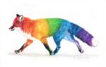 2024 ambiguous_gender beckykidus canid canine colored_pencil_(artwork) feral fox fur leg_markings lgbt_pride male_(lore) mammal markings multicolored_body multicolored_fur pride_colors rainbow_body rainbow_fur rainbow_pride_colors realistic realistic_feral signature simple_background socks_(marking) solo traditional_media_(artwork) walking whiskers white_background