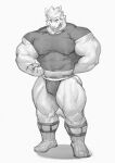  anthro biceps big_muscles clothing doooo2424 dot_eyes flexing_bicep footwear greyscale hi_res huge_muscles looking_down_at_self male mammal monochrome muscular muscular_male quads shirt snout socks solo stripes thong tight_clothing topwear underwear ursid 