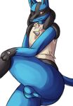  absurd_res akenju anthro backsack balls big_butt blue_body blue_fur butt canid canine fur generation_4_pokemon genitals hand_spike hi_res looking_away lucario male mammal multicolored_body multicolored_fur nintendo nude pokemon pokemon_(species) presenting solo thick_thighs video_games 