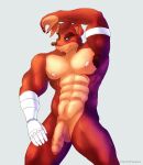  abs activision anthro balls crash_bandicoot_(series) crunch_bandicoot fectofalsus fur genitals hi_res male muscular muscular_male nude penis solo video_games 