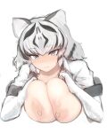  1girl animal_ears black_hair blue_eyes blush breast_squeeze breasts breasts_out elbow_gloves gloves heart heart-shaped_pupils highres kemono_friends large_breasts looking_at_viewer multicolored_hair nipples open_clothes open_shirt shibori_kasu shirt short_hair simple_background solo symbol-shaped_pupils tiger_ears tiger_girl two-tone_hair upper_body white_background white_gloves white_hair white_shirt white_tiger_(kemono_friends) 