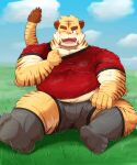  2022 anthro belly big_belly blush bodily_fluids bottomwear bulge clothing detailed_background feet felid hi_res humanoid_hands kemono male mammal mohumohudansi one_eye_closed outside overweight overweight_male pantherine shirt shorts sitting solo sweat tiger topwear 