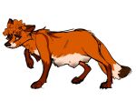  andromorph brown_body brown_fur brown_nose canid canine feral fox fur hair intersex kaimstain mammal nipples nonbinary_(lore) orange_body orange_fur pregnant pregnant_andromorph pregnant_feral pregnant_intersex raised_leg rolleishep solo tan_body tan_fur 