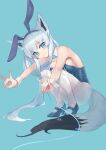  1girl :&gt; absurdres animal_ear_fluff animal_ears artist_name bare_arms bare_shoulders blue_eyes blue_footwear blue_leotard breasts bunny_day commentary_request constricted_pupils detached_collar fake_animal_ears fox_ears fox_girl fox_shadow_puppet fox_tail full_body high_heels highres hololive knees_together_feet_apart large_breasts leash leotard long_hair looking_at_viewer null_suke pantyhose playboy_bunny shirakami_fubuki sideboob simple_background solo split_mouth spread_legs squatting tail very_long_hair virtual_youtuber white_pantyhose wrist_cuffs 