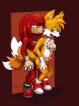  2_tails anthro canid canine discordthequimera duo echidna fox hi_res knuckles_the_echidna male male/male mammal miles_prower monotreme multi_tail sega sonic_the_hedgehog_(series) 