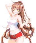  1girl :d absurdres animal_ear_fluff animal_ears arm_behind_head arm_up bangs breasts brown_hair camisole cleavage commentary_request commission crop_top dolphin_shorts fang hand_up high_ponytail highres long_hair looking_at_viewer mamel_27 medium_breasts midriff navel original ponytail red_shorts short_shorts shorts simple_background smile solo strap_slip tail very_long_hair white_background white_camisole yellow_eyes 