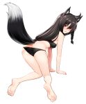  1girl absurdres all_fours animal_ears artpatient ass back bare_shoulders barefoot bikini black_bikini black_hair blush braid breasts clenched_teeth fox_ears fox_girl fox_tail highres hololive kurokami_fubuki long_hair looking_at_viewer red_eyes simple_background solo swimsuit tail teeth virtual_youtuber white_background 