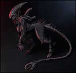 absurd_res alien alien_(franchise) alien_humanoid areola big_breasts black_areola black_background black_body black_border black_nipples border breasts digitigrade eyeless female hi_res humanoid long_tail nipples simple_background solo tail tail_ridge thick_thighs vaenerik_naarla wide_hips xenomorph