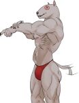  2021 5_fingers anthro black_nose bulge bull_terrier bullseye_(target) canid canine canis claws clothing diggermygrave domestic_dog fingers fur hunting_dog male mammal mascot muscular muscular_anthro muscular_male nipples pink_nipples red_clothing red_eyes red_thong red_underwear simple_background smile solo standing tail_motion tailwag target_corporation terrier thong underwear white_background white_body white_fur 