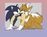  abdominal_bulge all_fours anthro blue_body blue_fur canid canine color_edit colored duo edit eulipotyphlan flatsfag forced fox foxynoms fur green_eyes hedgehog hi_res male male/male male_pred mammal miles_prower oral_vore red_eyes same_size_vore sega sonic_the_hedgehog sonic_the_hedgehog_(series) vore yellow_body yellow_fur young 