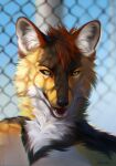  2022 anthro canid canine dannoitanart day detailed_background digital_media_(artwork) fox fur hair hi_res male mammal open_mouth orange_body orange_fur outside red_hair sky solo teeth white_body white_fur yellow_eyes 