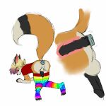  anal anthro black_penis canid canine charles_(viesta) clothing embarrassed footwear fox genitals hi_res male mammal multicolored_clothing multicolored_footwear multicolored_socks penis rainbow_clothing rainbow_footwear rainbow_socks rear_view sex_toy socks solo vibrator 