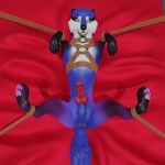  3d_(artwork) balls bdsm blender_(software) bound canid canine digital_media_(artwork) female feral genitals hi_res knot male mammal solo urbanfox(artist) 