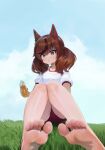  1girl animal_ears bangs barefoot blue_sky blush bottle breasts brown_eyes brown_hair buruma cloud commentary_request day dokomon feet gym_shirt gym_uniform hair_between_eyes highres holding holding_bottle horse_ears legs looking_at_viewer multicolored_hair nice_nature_(umamusume) on_grass outdoors parted_lips puffy_short_sleeves puffy_sleeves red_buruma shirt short_sleeves sitting sky small_breasts soles solo streaked_hair sweat twintails umamusume white_shirt 