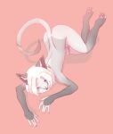  absurd_res anthro catboy_(character) domestic_cat felid feline felis genitals girly hi_res male mammal pawpads paws penis solo yukidrimurr 