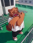  2022 anthro black_nose bottomwear brown_body canid canine canis ch3cooh1231 clothing detailed_background domestic_dog hi_res humanoid_hands kemono male mammal open_mouth outside pants shirt solo tired topwear yawn 