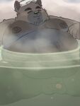  2022 anthro balls bathing belly big_belly black_nose blush canid canine genitals hi_res humanoid_hands jamiephut kemono male mammal obese obese_male overweight overweight_male penis sitting small_penis solo steam towel towel_on_head water 