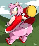  accessory amy_rose anthro big_butt butt clothing dress eulipotyphlan female footwear gloves grass green_eyes hair_accessory hairband hammer handwear hedgehog hi_res looking_back mammal outside panties pink_body plaga plant sega shoes signature smile solo sonic_the_hedgehog_(series) thick_thighs tools underwear 
