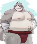  2022 anthro asian_clothing bandage belly big_belly bulge canid canine clothing east_asian_clothing grey_body hi_res humanoid_hands japanese_clothing kemono male mammal mawashi moobs navel nipples overweight overweight_male raccoon_dog solo sumo sv_grart tanuki 