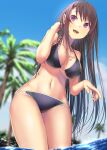  1girl ao_no_kanata_no_four_rhythm bikini black_bikini black_hair blue_sky blurry blurry_background breasts cleavage cloud commentary_request cowboy_shot from_behind highres jewelry large_breasts leaning_to_the_side long_hair looking_at_viewer necklace palm_tree purple_eyes sky soaking_feet solo swimsuit tobisawa_misaki tree water zombie_mogura 