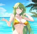  1girl bangs bare_arms bare_shoulders bikini blue_sky blush breasts chuu_(rinet) cloud collarbone commentary_request day fire_emblem fire_emblem:_shadow_dragon_and_the_blade_of_light green_eyes green_hair grin hands_up highres jewelry large_breasts long_hair looking_at_viewer navel ocean outdoors palla_(fire_emblem) ring sky smile solo stomach swimsuit upper_body very_long_hair water yellow_bikini 