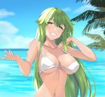  1girl bangs bare_arms bare_shoulders bikini blue_sky blush breasts chuu_(rinet) cloud collarbone commentary_request day fire_emblem fire_emblem:_shadow_dragon_and_the_blade_of_light green_eyes green_hair grin hands_up highres jewelry large_breasts long_hair looking_at_viewer navel ocean outdoors palla_(fire_emblem) ring sky smile solo stomach swimsuit tan upper_body very_long_hair water white_bikini 