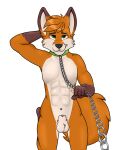  anthro canid canine chain fox hi_res jebbthefoxy leash male mammal solo 