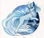  bloominglynx blue_eyes blue_hair blue_inner_ear blue_inner_ear_fluff blue_tail canid cheek_tuft chest_tuft eyelashes facial_tuft female feral glistening glistening_eyes hair hi_res inner_ear_fluff looking_at_viewer mammal side_view signature sky snow star tuft 