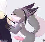  absurd_res animal_genitalia animal_penis anthro aroused balls big_ears blush bodily_fluids bottomwear canid canine canine_penis chibi clothed clothing clothing_pull dipstick_ears duo erection faceless_character faceless_human faceless_male fellatio fluffy fluffy_tail fox fur genital_fluids genitals grey_body grey_fur hi_res human humanoid_genitalia humanoid_penis interspecies iradeon knot male male/male mammal mostly_nude multicolored_body multicolored_ears multicolored_fur necktie necktie_grab necktie_only necktie_pull open_bottomwear open_clothing open_pants oral orange_eyes pants penile penis precum saliva sean_(senz) senz sex shirt size_difference tattoo text topwear two_tone_body two_tone_fur unzipped unzipped_pants url 