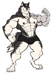  2022 abs absurd_res anthro barazoku barefoot baseball_cap biceps big_muscles bulge canid canine canis claws clothed clothing cybernetic_arm cybernetic_limb darknaigart digitigrade dog_tags domestic_dog feet fist fur hat headgear headwear hi_res huge_muscles husky looking_at_viewer male mammal muscular muscular_anthro muscular_male navel nipples nordic_sled_dog obliques pecs scar simple_background smile solo spitz standing thick_thighs topless topless_anthro topless_male tuft underwear white_background 