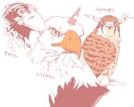  animal_focus animalization bald_eagle bird commentary_request eagle horns hoshiguma_yuugi ibaraki_kasen ibuki_suika kestrel_(bird) no_humans onikobe_rin simple_background star_(symbol) steller's_sea_eagle touhou upper_body 