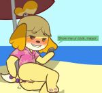  aloha_shirt anal anal_beads anal_beads_in_ass anal_penetration animal_crossing anthro beach blush canid canine canis clothing domestic_dog female isabelle_(animal_crossing) mammal nintendo pattern_clothing pattern_shirt pattern_topwear penetration seaside sex_toy sex_toy_in_ass sex_toy_insertion shirt solo texting topwear umbrella video_games weirdkoaladream 