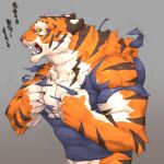  anthro captainjohkid clothed clothing felid fur hi_res looking_at_viewer male mammal muscular muscular_anthro muscular_male orange_body orange_fur pantherine partially_clothed solo striped_body striped_fur stripes tiger torn_clothing transformation white_body white_fur 