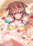  1girl :3 animal_ears beach bikini blurry bone_hair_ornament braid breasts brown_hair choker claw_pose cleavage closed_mouth collarbone depth_of_field dog_ears frilled_bikini frills hair_ornament hairclip hands_up highres hololive inugami_korone izumi_sai long_hair looking_at_viewer lying medium_breasts nail_polish o-ring o-ring_bikini on_back petals red_choker red_eyes scrunchie smile solo swimsuit thighs twin_braids virtual_youtuber water wet wrist_scrunchie yellow_bikini 