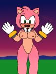  amy_rose anthro breasts collar collar_only exposed_breasts female genitals nude pink_body pussy sega slice-guy solo sonic_the_hedgehog_(series) surprised_expression 