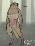  2022 abs anthro apron apron_only blokfort breasts brown_body brown_fur canid canine canis clothing female forest fur hi_res mammal mostly_nude muscular plant scar solo standing tree wolf yellow_eyes 