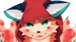  2022 9:5 absurd_res anthro blue_eyes canid canine clothing floppy_ears fox foxy_(nekojita) fur hi_res hoodie looking_at_viewer male mammal nekojita palms red_clothing red_hoodie red_topwear shaded solo topwear 