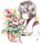  1girl brown_hair flower flower_request highres holding holding_plant hyuuga_(kancolle) hyuuga_kai_ni_(kancolle) japanese_clothes jitsukawa_ashi kantai_collection plant potted_plant red_eyes short_hair solo undershirt upper_body 