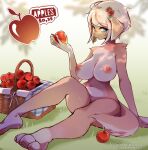  2022 anthro apple basket big_breasts blonde_hair breasts canid canine canis coffeechicken container domestic_dog english_text female hair mammal nipples nude solo text 
