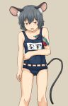  1girl alternate_costume animal_ear_fluff animal_ears bangs blush brown_background brown_eyes chagamaka commentary_request feet_out_of_frame flat_chest goggles grey_hair hair_between_eyes highres looking_at_viewer mouse_ears mouse_girl mouse_tail name_tag nazrin one-piece_swimsuit open_mouth short_hair simple_background solo swimsuit tail touhou 