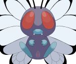  arthropod butterfly butterfree female generation_1_pokemon genitals hi_res honeyu insect lepidopteran lepidopteran_wings nintendo pokemon pokemon_(species) pussy solo solo_focus tagme video_games wings 